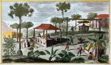 Produkce cukru v Západní Indii, detail 00155 - v „Obecné historii Antil obývaných Francouzi od Du Tertre“, počátek 19. století