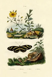 Východ slunce, 1833-39