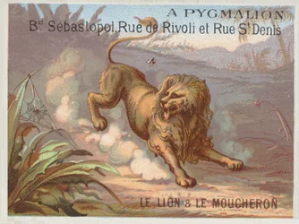 Lev a komár