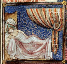 Sen, detail: Spící milenec. Miniatura v knize "Le Roman de la rose" od Jeana de Meun, Jeana de Meung nebo Jeana Chopinela, Jeana Clopinela (v. 1240-1305), kolem roku 1370. Chantilly, Musee Conde
