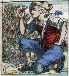 Obrovský pluh z Brobdingnagu se zmocnil Lemuela Gullivera. Ilustrace pro „“ Gulliver