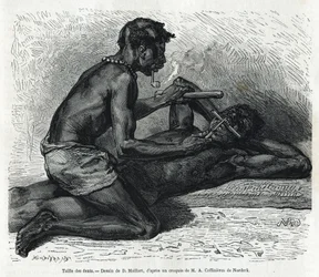 Velikost zubů v Okandě, kresba D. Maillarda, pro ilustraci příběhu o cestě do Gabonu a řeky Ogoue v letech 1875-1877 od Alfreda Marche. Rytina v Le tour du monde