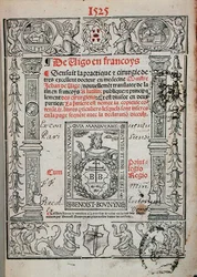 Titulní strana z knihy o chirurgii od Jeana de Viga (1460-1525) 1525 (dřevořez)