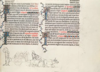 Přeprava věcí na vozíku taženém voly, nedokončená miniatura z Bible Jean de Sy, kolem roku 1355
