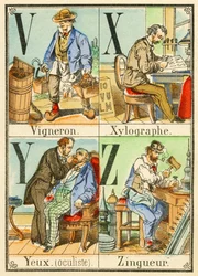 V X Y Z: Vinař, xylograf, Oči (oční lékař), Zingueur