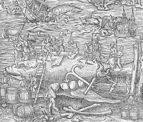 Lov velryb, Ilustrace z "Cosmographie Universelle", Andre de Thevet