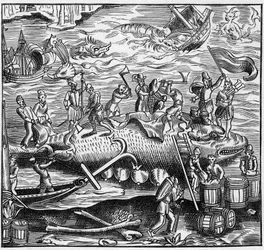 Lov velryb na francouzském pobřeží Atlantského oceánu ve středověku. Rytina v „La Marine et les colonies: commerce“