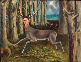 Zraněný jelen