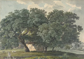 Italská krajina se stromy recto, 1815-21.