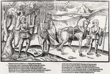 Voják s bojovou sekerou podává kopí irskému náčelníkovi v plném oděvu, s pážetem držícím náčelníkova koně, deska 1 z knihy "The Image of Ireland" od Johna Derrickeho