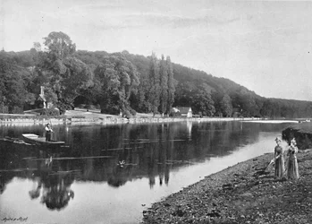 Cliefden Woods, c1896