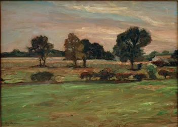 Krajina vřesoviště