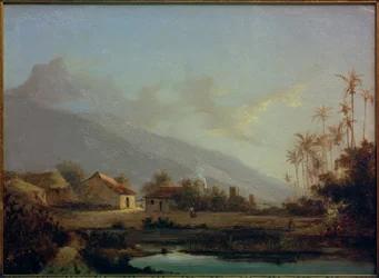 Tropická krajina
