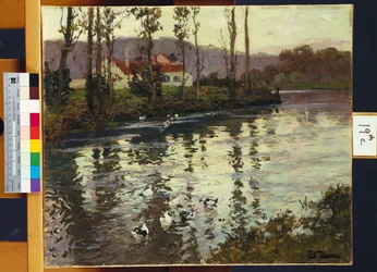 Říční krajina s kachnami