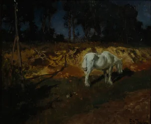 Doktorův kůň (olej na plátně)