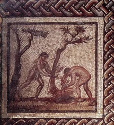 Gallo Roman Art: mozaiková dlažba představující rustikální kalendář. Scéna z došků. Konec 2., začátek 3. století po JC. Ze Saint-Romain-en-Gal (Rhone). Saint Germain en Laye, Národní muzeum archeologie