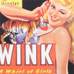 Mrknutí (koláž)