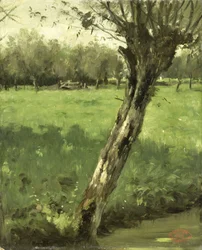 Vrba