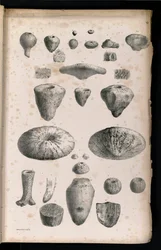 Tabulka 006