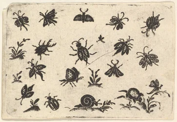 Malé motivy hmyzu a rostlin, 1596.