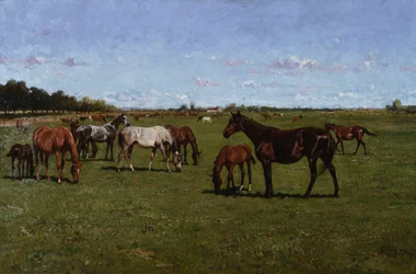 Klisny a hříbata, 1917
