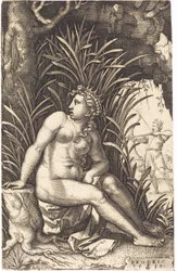 procris