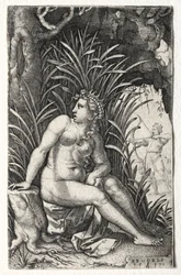Procris, 1539.