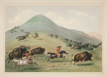 Buffalo Hunt, Chase, pl. 6 z portfolia severoamerických indiánů