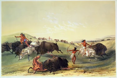 Buffalo Hunt, deska 7 z Catlin