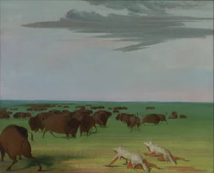 Lov na buvola pod maskou vlčí kůže, 1832-1833.