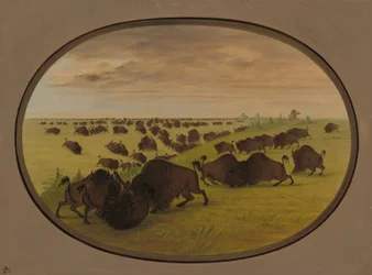 Býčí zápasy, 18611869.