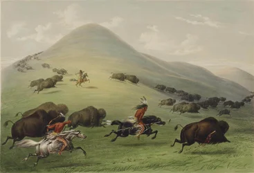 Buffalo Hunt