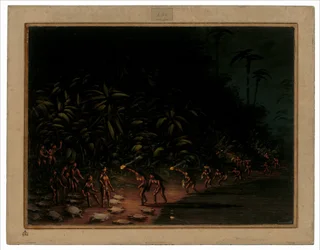 Lov na želvy, 18541869.