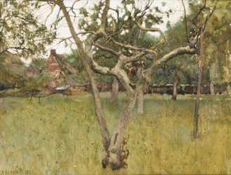 Orchard