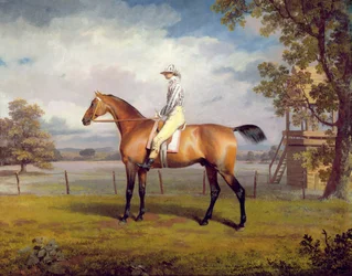 Převlek vévody z Hamiltonu s Jockey Up (olej na plátně)