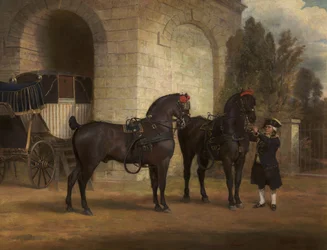 Dva černí kočároví koně s kočím, 1791