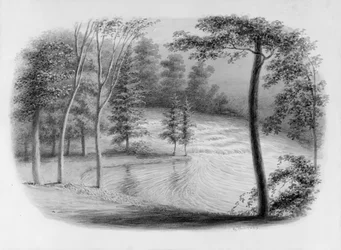 A Brook from Hosack Album, .