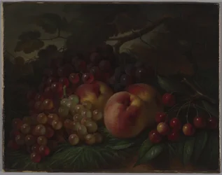 Peaches, Grapes and Cherries, c.1860-70 (olej na plátně)