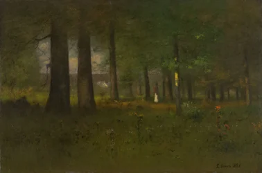 Okraj lesa