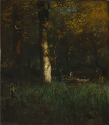 Domov volavky