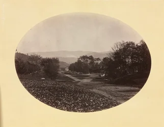 A Road ve Williamstownu, c. 1870.