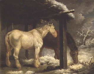 Shire Horses u doškového přístřešku v bouřlivé zimní krajině