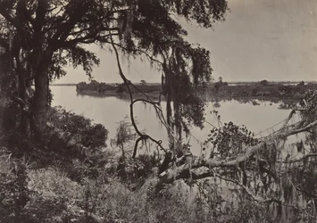 Řeka Savannah, poblíž Savannah, Georgia, 60. léta 19. století.