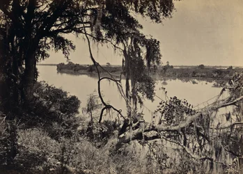 [Řeka Savannah, poblíž Savannah, Georgie]