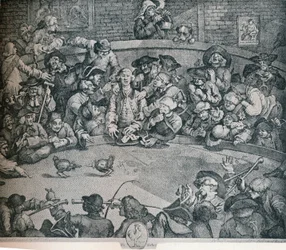 Aréna pro kohoutí zápasy, c1840, 1917