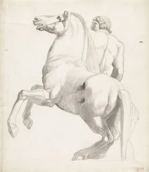 Jezdec z Montecavallo