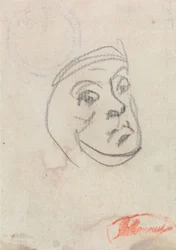 Studie hlavy