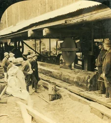 Dřevařský průmysl, Warburton, Victoria, Austrálie, 1909.