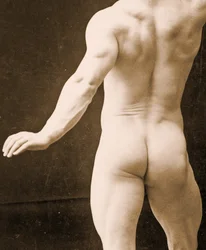 Eugen Sandow, v klasické starověké řecko-římské póze, detail fotografie DGC 1073442 c.1894 bw