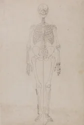 Srovnávací anatomický výklad stavby lidského těla s tělem tygra a běžné drůbeže:  (Závěrečná studie)